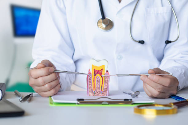 Best Emergency Root Canal Treatment in Willoughby Hills, OH